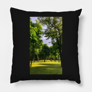 Green garden Pillow