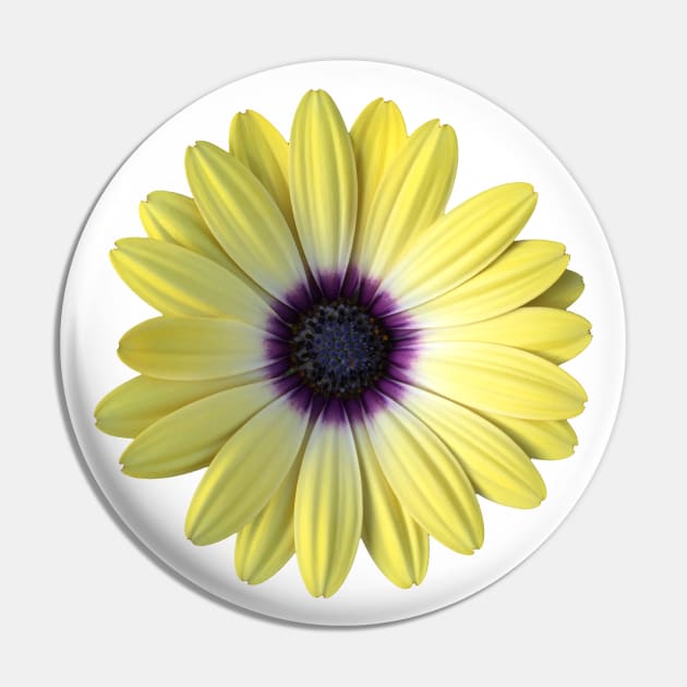 Yellow and Purple Daisy Photo Pin by sallycummingsdesigns