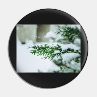 Snowy Pine Pin