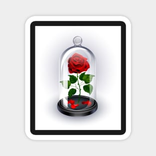 Red Rose Under Dome on White Background Magnet