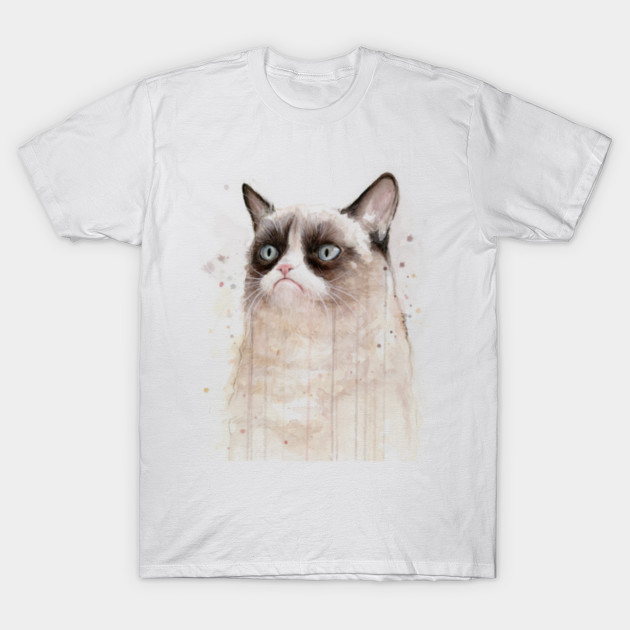 Grumpy Cat Grumpy Cat Face T Shirt Teepublic