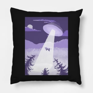 Abduction Pillow