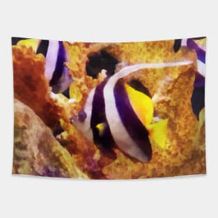 Fish - Black and White Striped Angelfish Tapestry