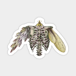 Weathered Ribcage Edgy Punk Wasp Mutant Magnet