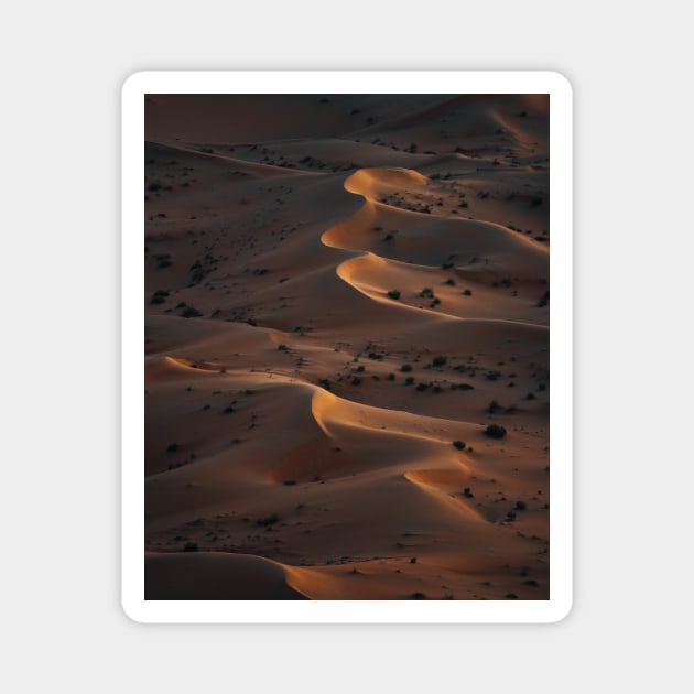 Sahara Desert Magnet by withluke