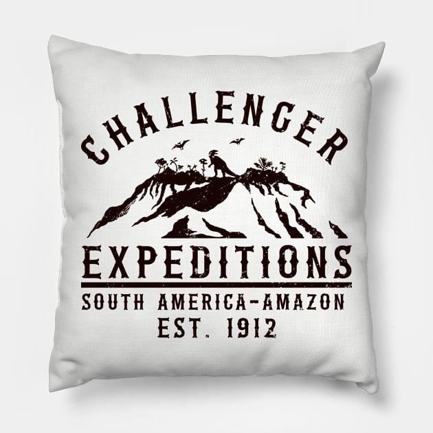 Challenger Expeditions Pillow by nickbeta