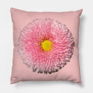 Daisy Pillow