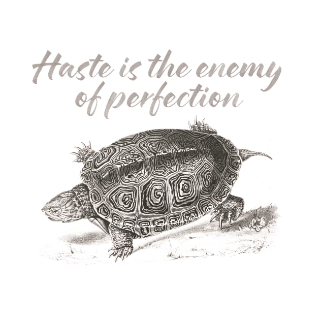 Haste is the enemy of perfection by AntiStyle