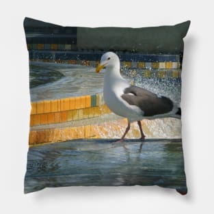 Seagull strut Pillow