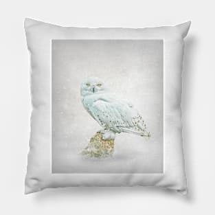 Snowy owl portrait Pillow