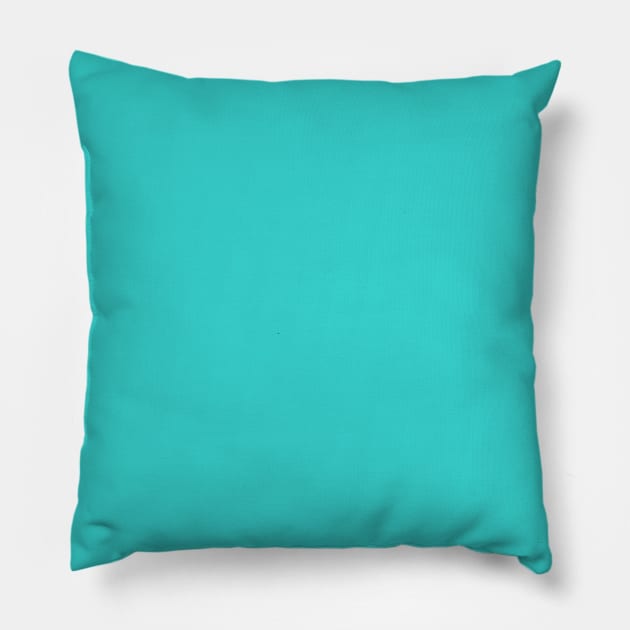 preppy Trendy fashion  solid color Aqua Teal Turquoise Pillow by Tina