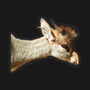 Dik-Dik T-Shirt