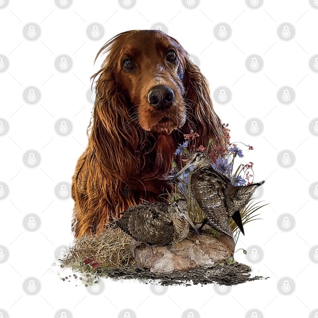 Irish Setter by German Wirehaired Pointer 