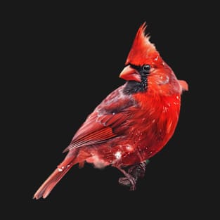 Cardinal Bird Apparel Universe T-Shirt