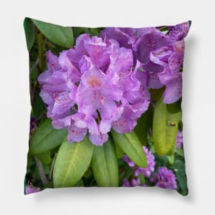 Rhododendron Pillow