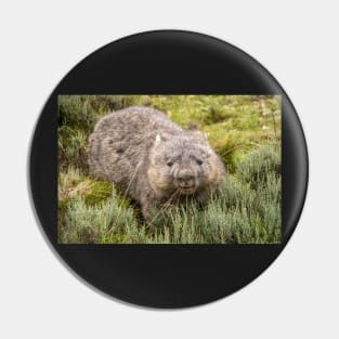 Happy Wombat, Cradle Mountain Tasmania Pin