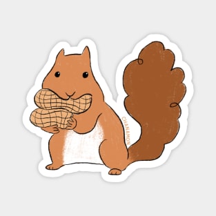 Squirrel Magnet