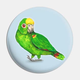 Panama amazon parrot Pin