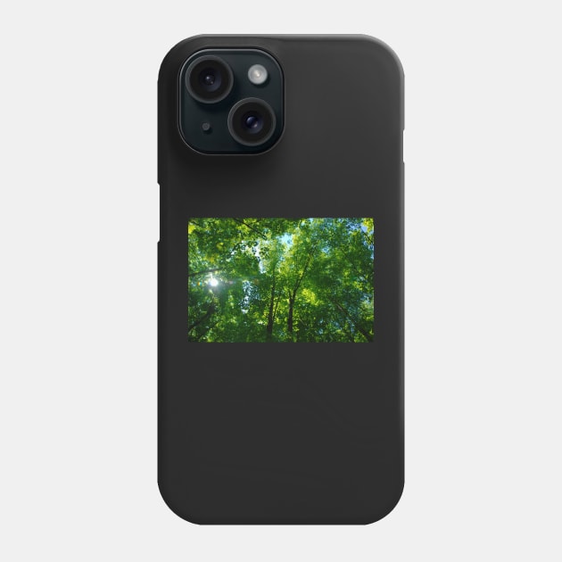 Canopy Phone Case by RichardGibb