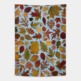 Autumn Sky Tapestry