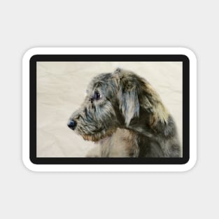 Wolfhound Pup #4 Magnet