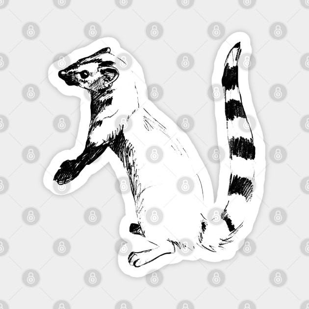 Galidia elegans ringtail mongoose Magnet by belettelepink