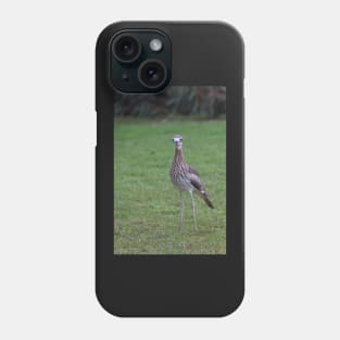 Stone Curlew Phone Case