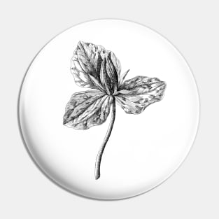 California Trillium Wild Plant Vintage Botanical Illustration Pin