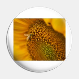 Bee on a sunflower working, macro shot Pin