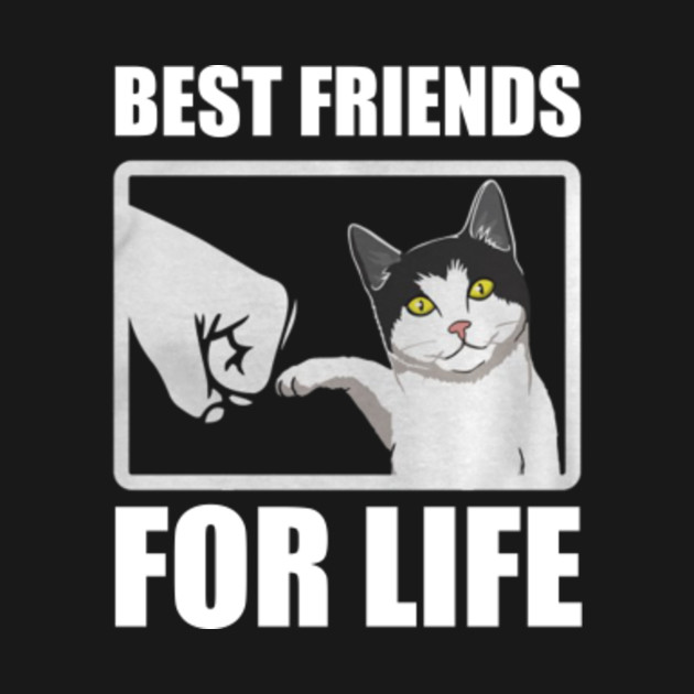 Funny Cat T Shirt Best Friends For Life T Shirt Funny Cat Best
