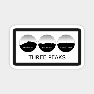 Three Peaks Profiles Magnet