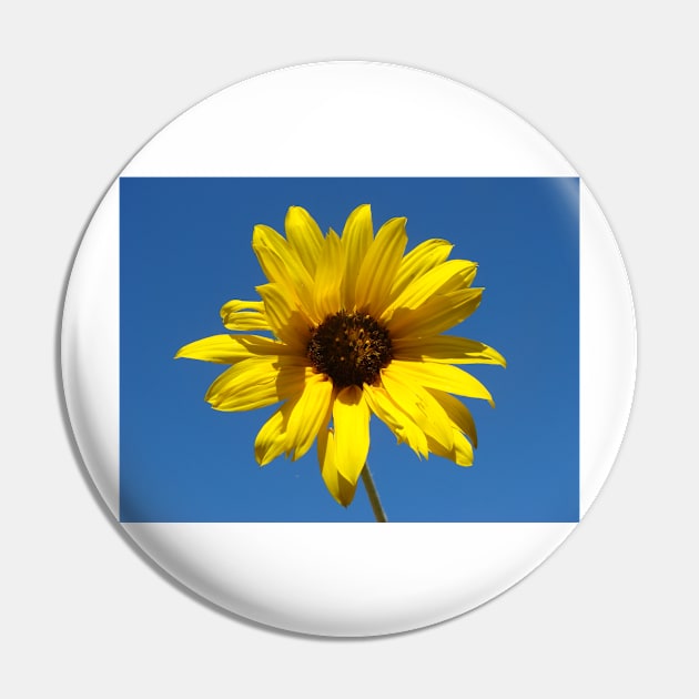 Sunflower Pin by Chris Petty