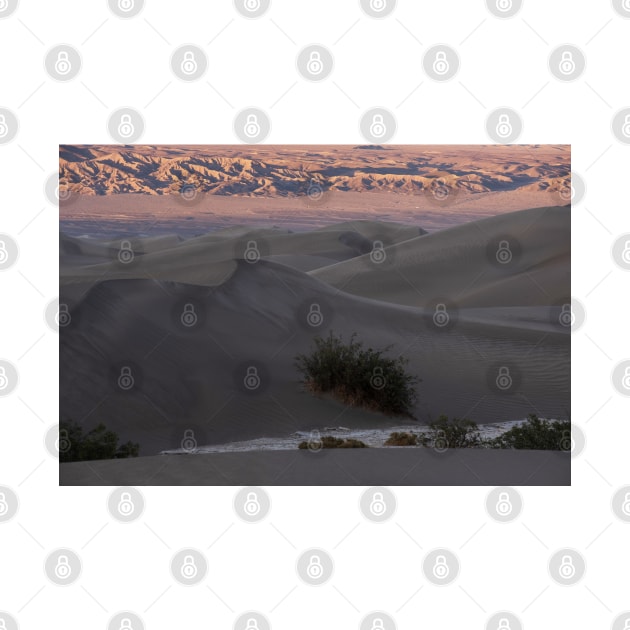 The Setting Sun on the Dunes in Death Valley National Park by nancy.hajjar@yahoo.com