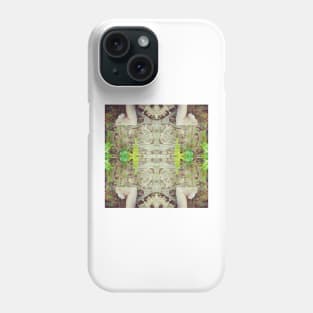 TEMPTATION OF EVE Number ONE Phone Case