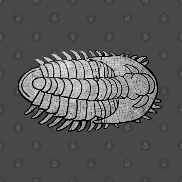 Trilobite by Art of V. Cook