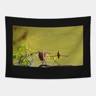 Bulbul Bird Tapestry