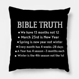 Bible Truth Pillow