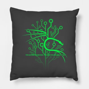 Kali Linux Backtrack Dragon Programming Pillow