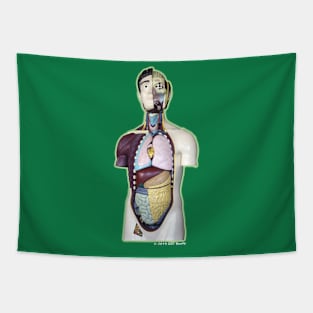 Mr. Guts: Anatomical Model Tapestry