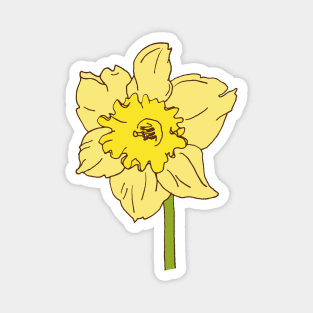 Springtime Daffodil Magnet