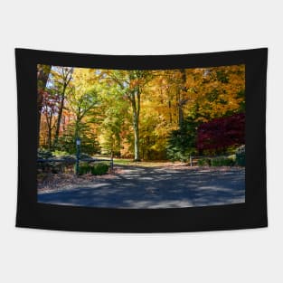 Country road in Autumn Tapestry