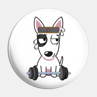 Funny bull terrier is exercising Pin