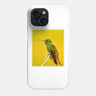 oli green Hummingbird lll Phone Case