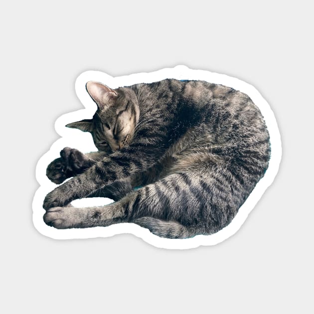 Sleeping Tabby Magnet by Amanda1775