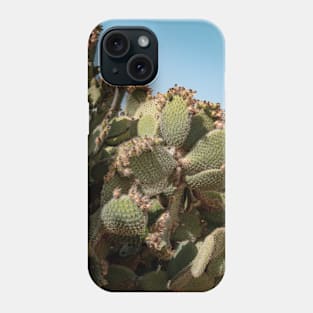 Cactus at the Zoo Phone Case