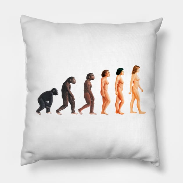 Stages in female human evolution (E436/0037) Pillow by SciencePhoto