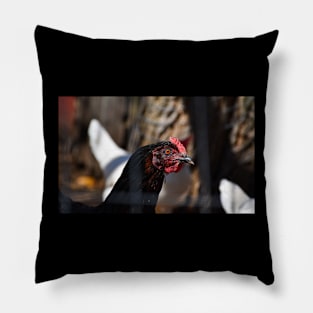 Black Chicken Pillow