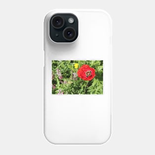 Common poppy (Papaver rhoeas), Algarve, Portugal Phone Case