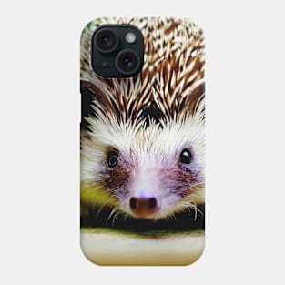 Gedeon, the four-toed hedgehog Phone Case