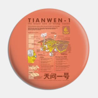 Tianwen-1 infographic Pin